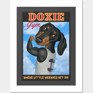 Cute Doxie at the gym where little weenies get big Posters and Art